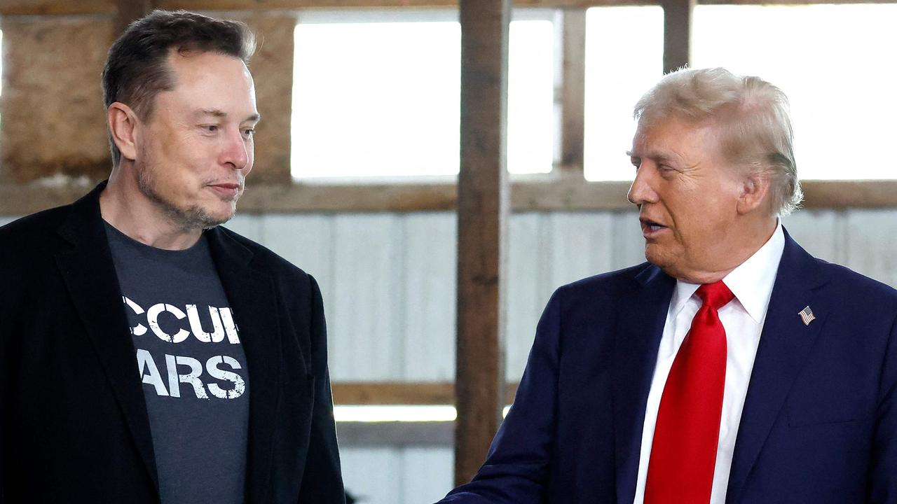 Musk empire to boom after Trump appointment