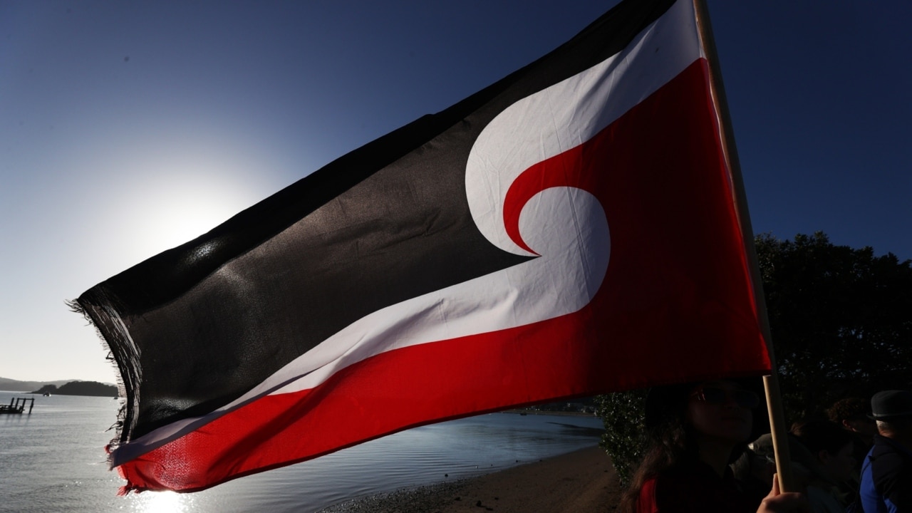 Tensions high on NZ national day as protestors hit the streets