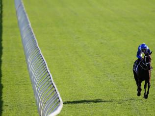 SYDNEY, AUSTRALIA - APRIL 08:  Hugh Bowman riding 'Winx' make their way to the barriers prior to The Longines Queen Elizabeth Stakes during The Championships Day 2 at Royal Randwick Racecourse on April 8, 2017 in Sydney, Australia.  (Photo by Jason McCawley/Getty Images for The ATC)