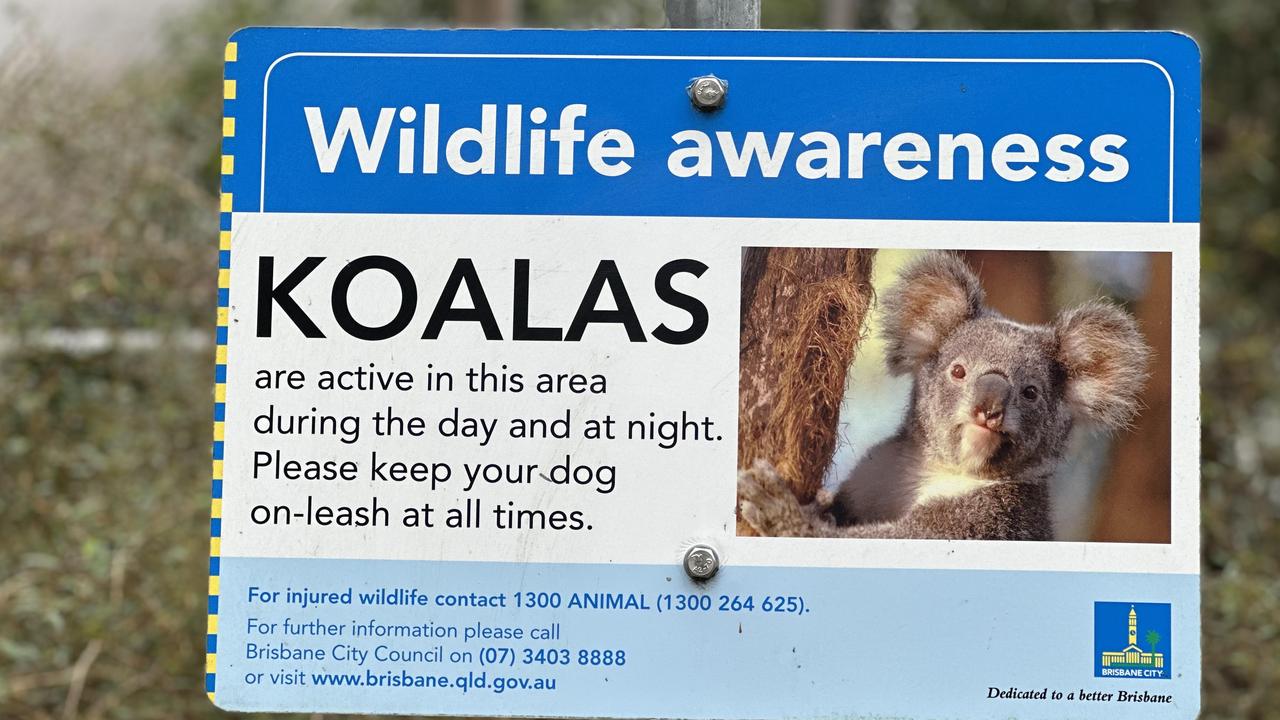 Ironic koala protection sign near cleared land. Picture: Des Houghton