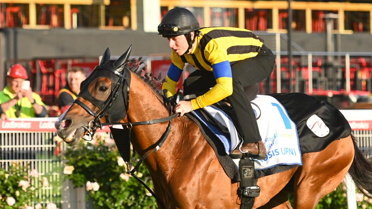 Japanese stars on Melbourne spring carnival hit list