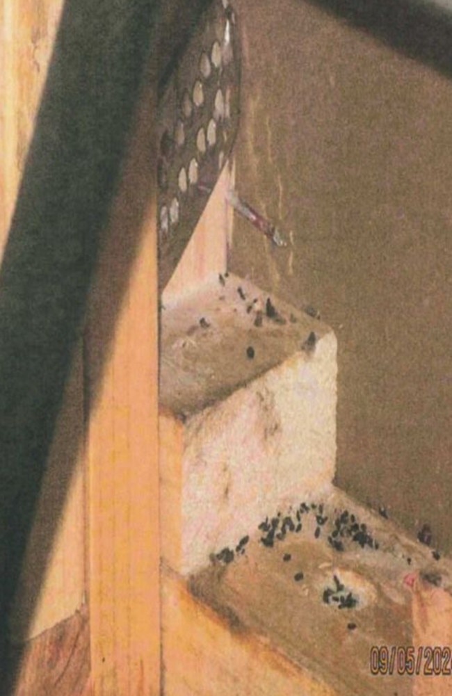 Council inspectors uncovered the breaches, including a rat infestation. Picture: supplied.