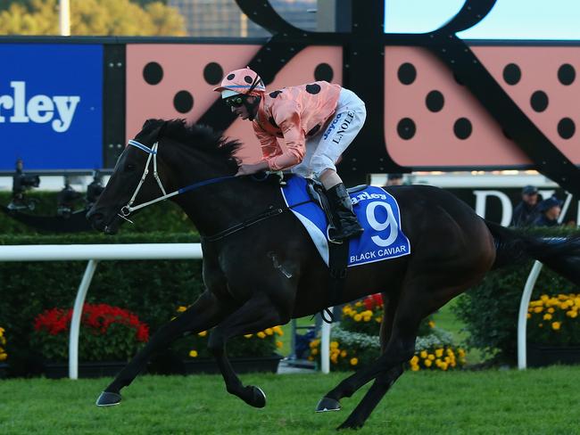 Black Caviar crushes her rivals in the 2013 TJ Smith Stakes. Picture: Getty Images