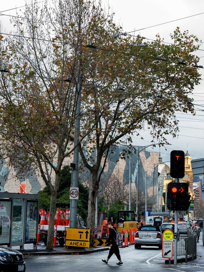 This Flinders St plane tree is now gone. Picture: Jay Town