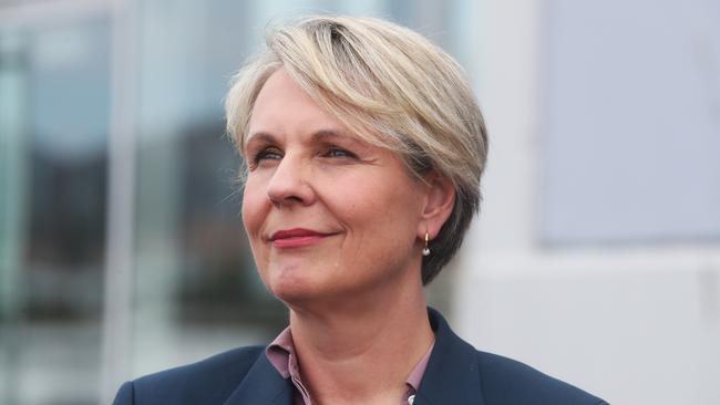 Minister for the Environment and Water Tanya Plibersek. Nikki Davis-Jones