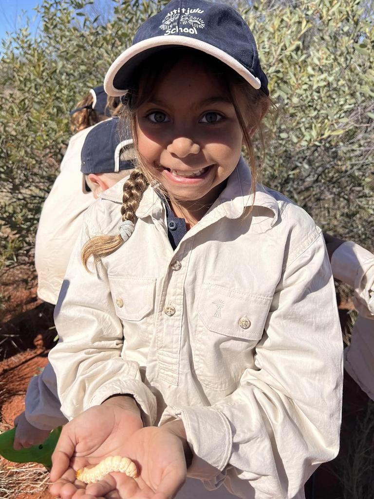 The students learned bow to collect and cook witchetty grubs. Picture: Department of Education