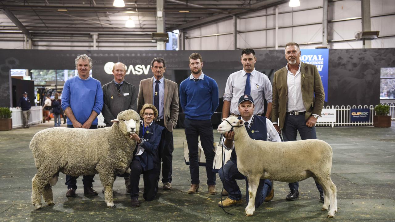 Bron Ellis of Sweetfield Corriedales, Mount Moriac, with the Corriedale champion interbreed ram at the Royal Melbourne Show. Photo: Dannika Bonser