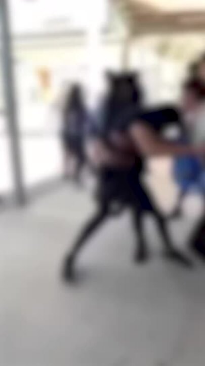 Teachers risk their safety in vile schoolyard fights