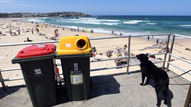 Load of rubbish: Is recycling a waste of time and money? Picture: AAP
