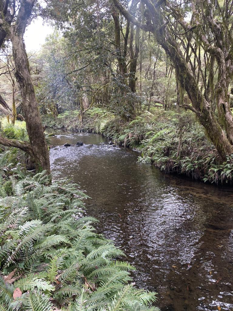 Our second stay was near Barrington Tops National Park