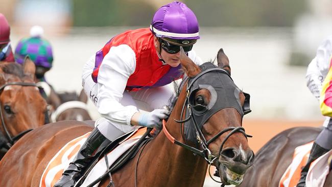 Evening Glory can end a long drought at Caulfield. Picture: Racing Photos via Getty Images