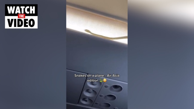 Passengers on-board AirAsia flight find snake on plane