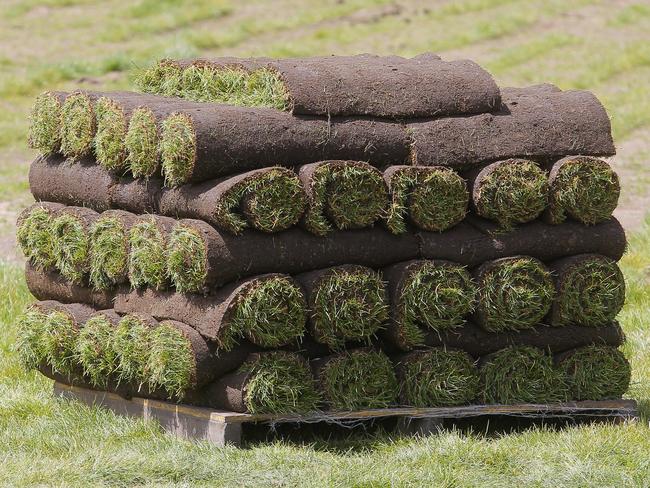 Freshly harvested rolls of StrathAyr turf.