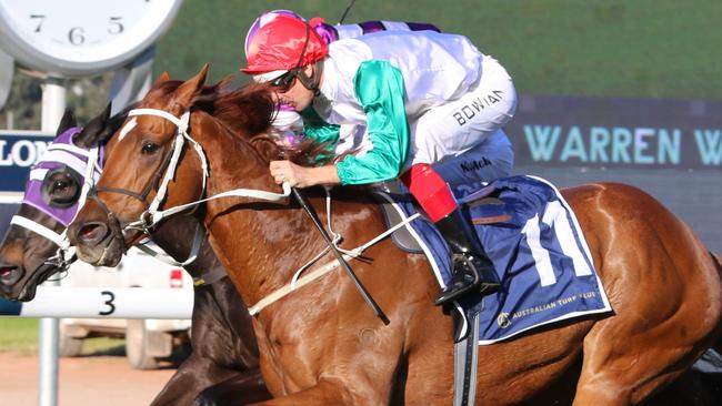 The Chris Waller-trained Wicklow can end the day on a high note at Hawkesbury. Picture: Grant Guy