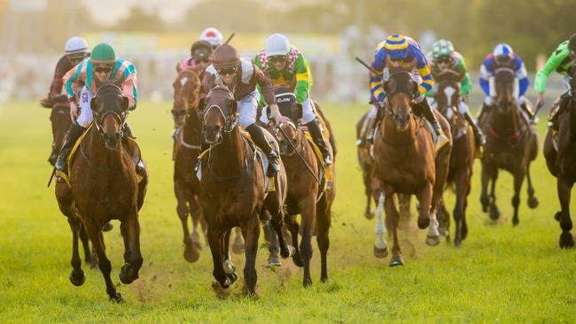 Grafton Cup 2017: Supply demands attention with brave front-running win ...