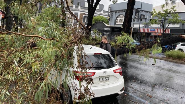 The gusty conditions have brought down a tree on courier Jake’s car. Picture: Miles Kemp