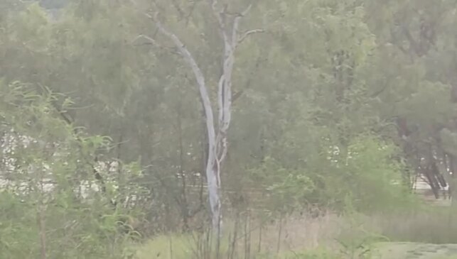 Water levels rising near Victoria River Roadhouse