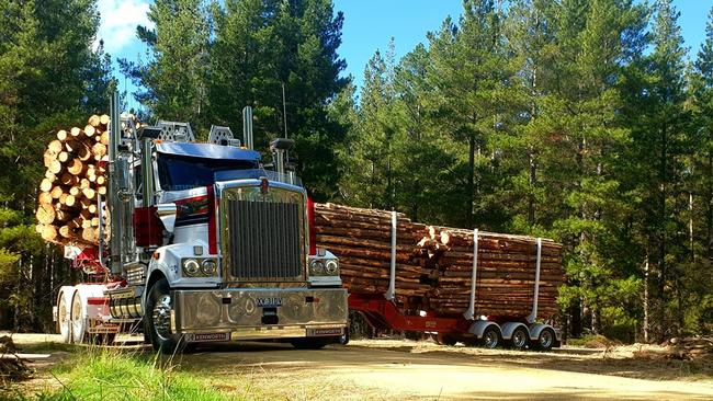 Victoria’s forestry sector is set to be turbocharged under a new $86m federal investment.