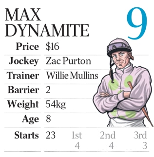 Melbourne Cup 2017 colours and stats