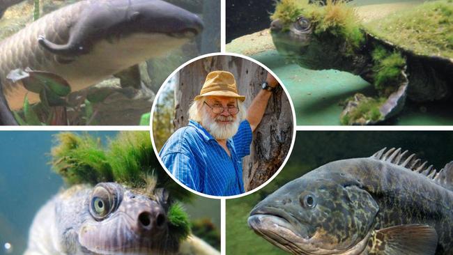 Environmentalist Ian Mackay and some of the endangered species that could be impacted by the Borumba PUmped Hydro project.