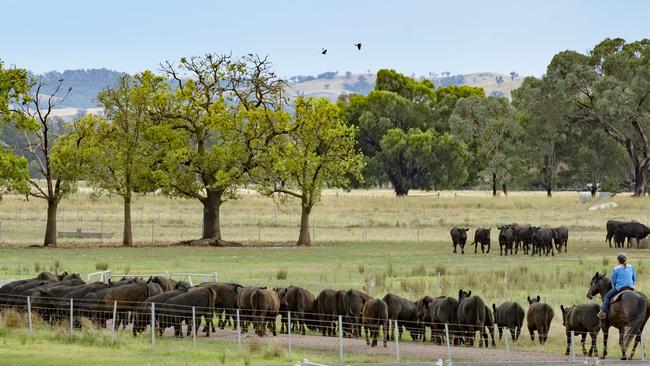 Farmers are being warned about the “dangerous” risks of selling soil carbon out of their enterprise by leading academics.