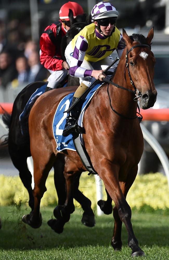 Ideal Derby trial: Damian Lane and Sacred Elixir take out the Vase at Moonee Valley last weekend.