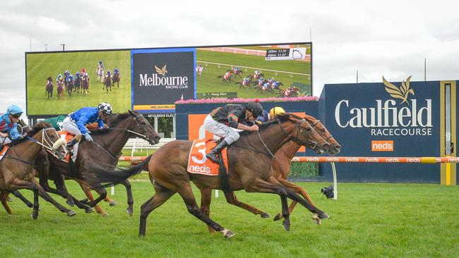 Defibrillate deadheats with Hang Man in the final race at Caulfield on Saturday.