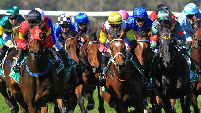 Racing in New South Wales on Tuesday is at Kembla and Tamworth.