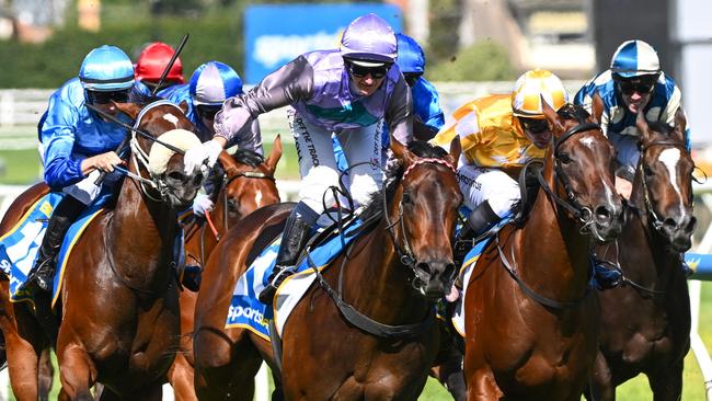 Blue Diamond winner Hayasugi resumes in the Group 1 Moir Stakes on Saturday. Picture: Vince Caligiuri/Getty Images