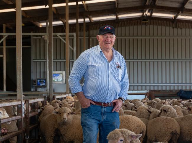 Roger Fletcher loading sheep at meatworks Pictures for The Weekly Times AgJournal magazine. Pictures: David Roma