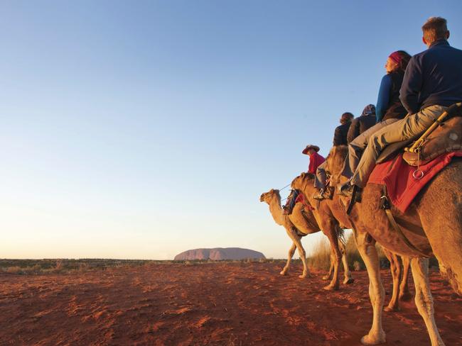 Check-Out. One of six Valentine's Day experiences you can only have in the NT. Riding a camel towards Uluru. Pic: Paddy Palin 2012