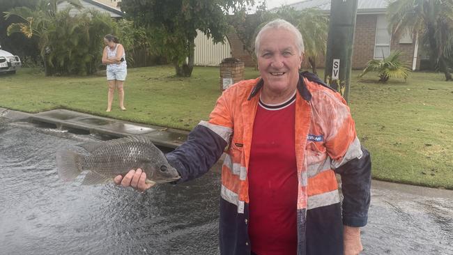 Alastair Nicol holds the fish he caught out of a flooded drain in Hervey Bay. Picture: Phillip Fynes-Clinton