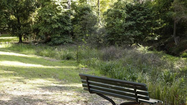 A 33-year-old Whitsunday cleaner allegedly exposed his genitalia to women at a Proserpine park. File photo​