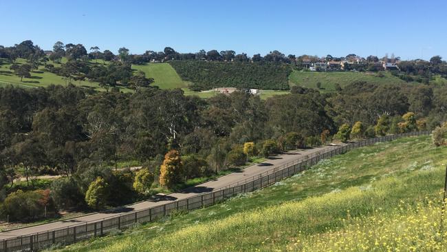 A grand tree planting initiative has won the Moonee Valley council a 2019 Premier’s Sustainability Award.