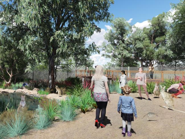 You’ll soon be able to be walk among native wildlife once the Australia Habitat area is redeveloped.