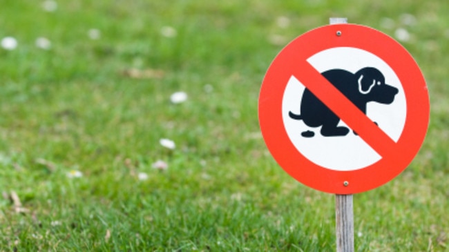 Failing to pick up and dispose of dog dropping carries a $252 fine under BCC regulations.