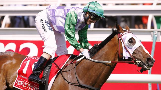 Who backed Prince of Penzance in 2015? Picture: Wayne Ludbey