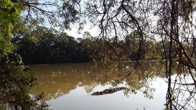 Black Swan Lake at Bundall on the Gold Coast after heavy rain.