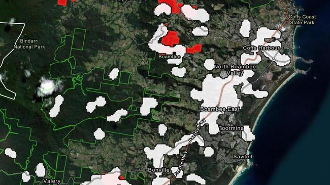 The white areas denote 'koala hubs' where an immediate end to logging has been announced by the NSW government.
