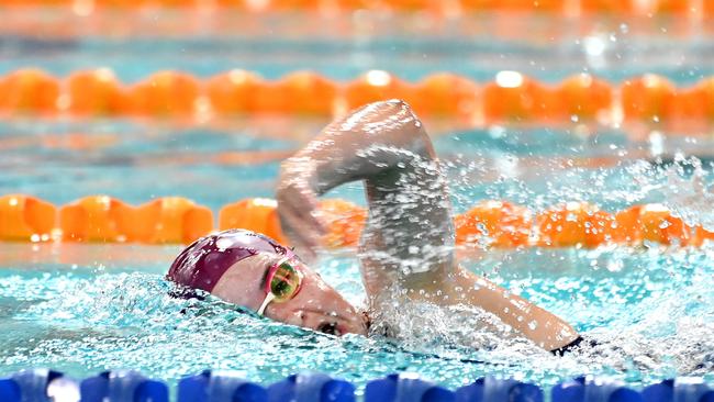 QGSSSA swimming championships Thursday February 29, 2024. Picture, John Gass
