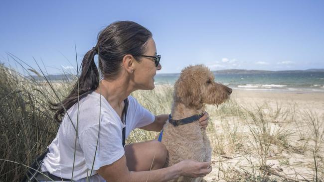 Monday hot weather – Melissa Mace and Sydney the Sproodle aged 8 at Kingston Beach. Picture: Caroline Tan