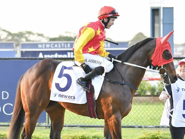 Alicia Roma, a recent acquisition for Team Snowden, has a great chance at Royal Randwick on Saturday. Picture: Bradley Photos