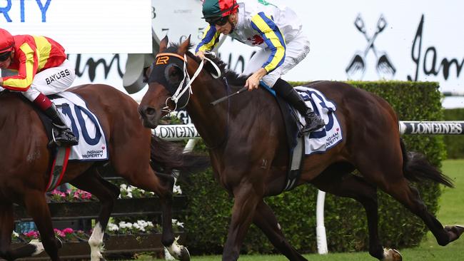 Loch Eagle was an impressive winner of The Ingham. Picture: Jeremy Ng-Getty Images