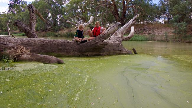 Noah and Erin Hindmarsh surrounded by algae in the Lower Darling River at Menindee in NSW. Picture: Michael Minns