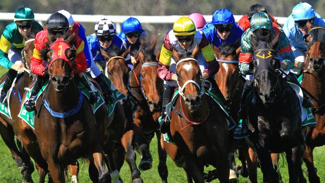 Loving home ridden by Tye Angland  (yellow cap, maroon with yellow armbands) wins race 1 during Scone  Races located in the Upper Hunter Region of NSW. The Bend . Pic Jenny Evans