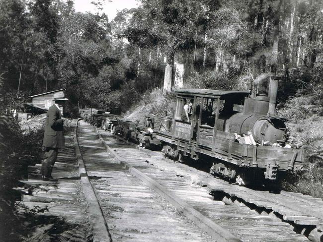 A railway was used to transport logs across the island.