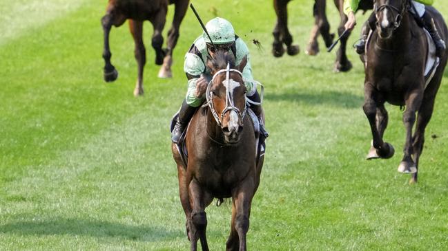 Francesco Guardi announced himself as a star when bolting home in the 2022 Moonee Valley Gold Cup. Picture: Racing Photos via Getty Images