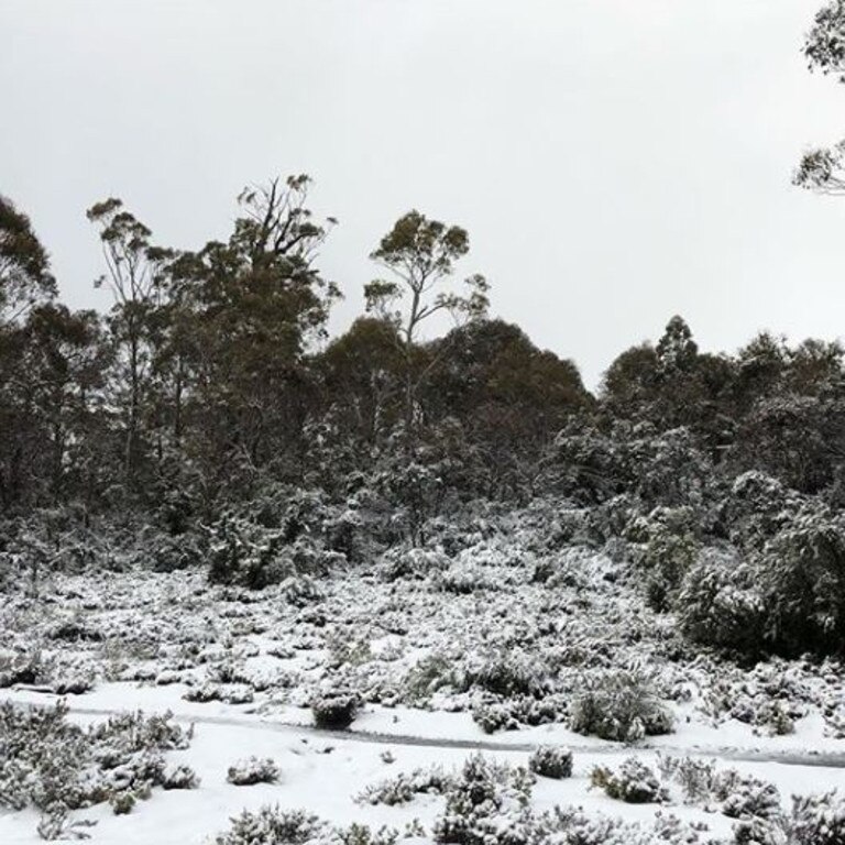 Snow in Cradle Mountain. Picture: @talana.cook