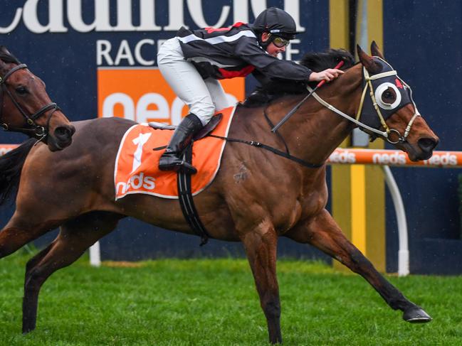 Jungle Edge ridden by Jade Darose wins the Neds Sir John Monash Stakes  at Caulfield Racecourse on July 11, 2020 in Caulfield, Australia. (Natasha Morello/Racing Photos via Getty Images)