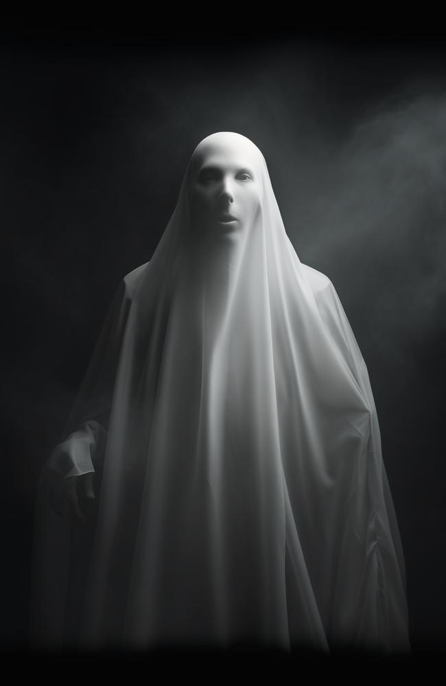 Opposition Leader Peter Dutton takes the form of a ghost for a spooky surprise.